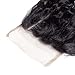 9A Water Wave Lace Closure Unprocessed Brazilian Human Hair 4x4 Lace Closure Free Part Water Wave Human Hair Closure 14 inch Color 1b#