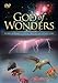 God of Wonders