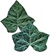 EuroQuest Imports Ivy Deco Parchment Leaves, Package of 20