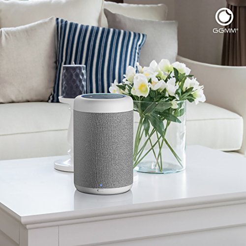 GGMM D6 Portable Speaker for Amazon Echo Dot 2nd Generation, 20W Powerful True 360 Alexa Speakers (DOT SOLD SEPARATELY)