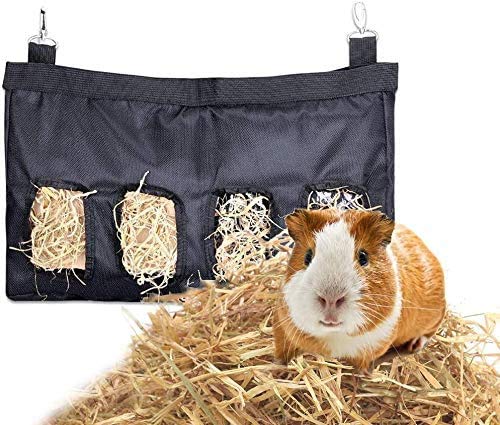 View 2