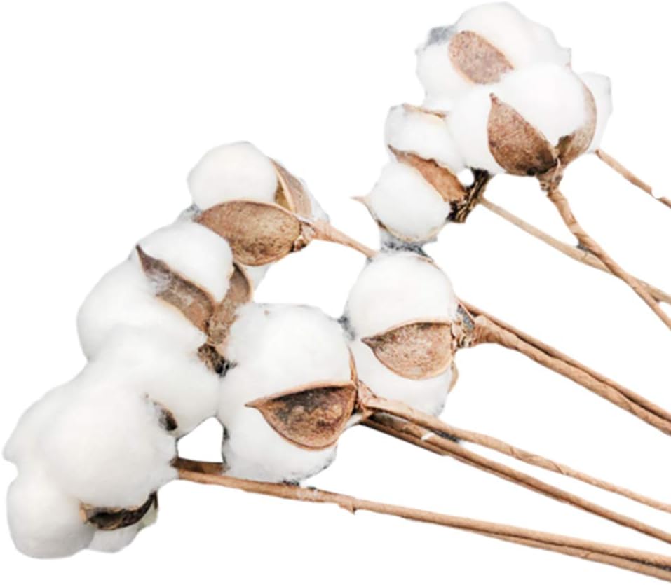 sal008ly7far Cotton Flower Branch Artificial Flowers 10Pcs Natural White Cotton Stems Dried Flower Home Wedding Decor Photo Props