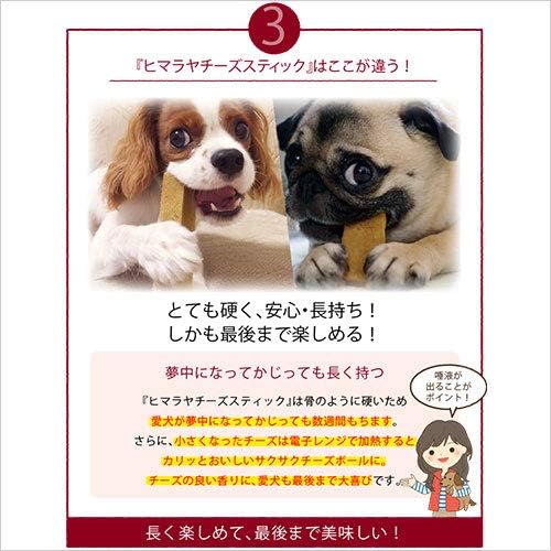 ロアジス正規品 ヒマラヤチーズ スティック Sサイズ 単品 約30g 犬用おやつ ヒマチー 無添加 チーズガム 商標登録 ヤクミルク ロアジス直営店 ヒマラヤチーズスティック ペット用品 通販 Amazon