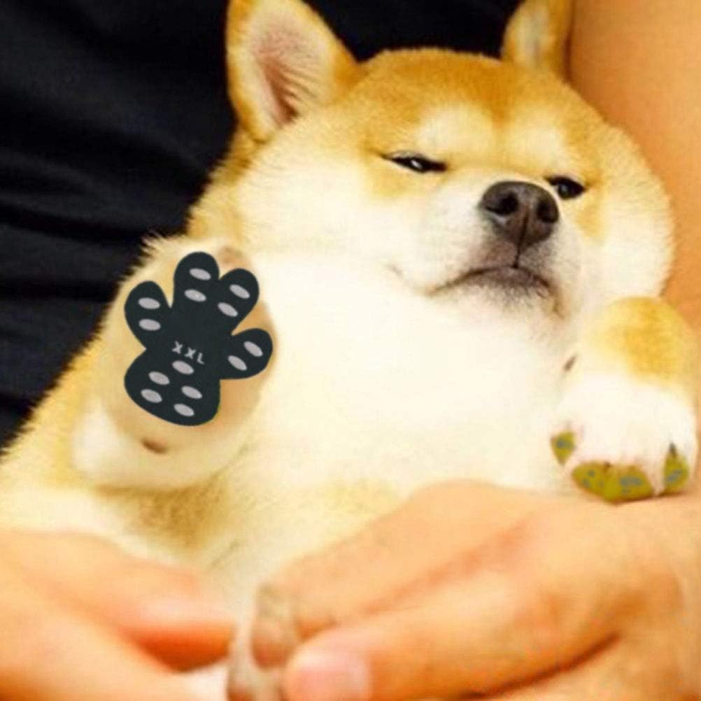 Autoadhesivo y Duradero para el Cuidado de Las Patas de