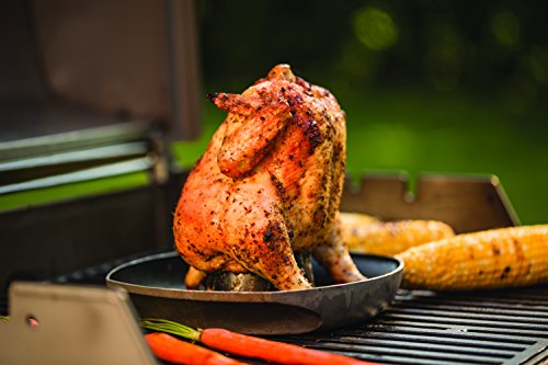 Weber 6731 Style Poultry Infusion Roaster