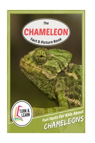 The Chameleon Fact and Picture Book: Fun Facts for Kids About Chameleons