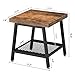 VASAGLE 2-Tier End Table, Industrial Nightstand, Coffee Table with Storage Shelf, Wood Look Accent Furniture, with Metal Frame ULET42X