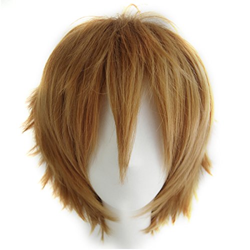 Basic Style All Characters Anime Short Wig,Layered Fluffy Heat Resistant Unisex Hair Party Cosplay Wigs