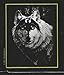 ROYAL BRUSH Silver Foil Engraving Art Kit, 8 by 10-Inch, Dragon Wolf, Black