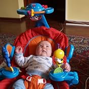 fisher price sensory selections bouncer