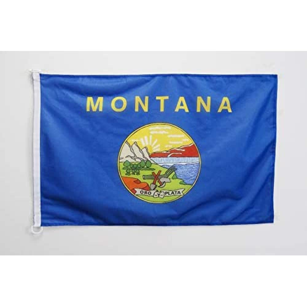 AZ FLAG - Montana Flag - 2x3 Ft - For Outdoor - US state of Montana Banner Knitted Polyester with Two Plastic Rings - Fade Resistant - Vivid Colors - 2' x 3' Feet - 90x60 Cm