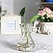Outflower 1pc Clear Hydroponic Vase Transparent Hyacinth Glass Vase Desktop Plant Hydroponic Vase for Home/Office Decor