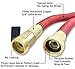 NGreen Expandable Garden Hose - 50 Feet Strongest Triple Core Latex and Solid Brass Fittings Free Spray Nozzle 3/4 USA Standard Easy Storage Kink Free Flexible Water Hose