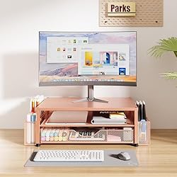 OPNICE Desk Organizers and Accessories, 2-Tier