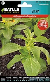 Huerto Urbano - Kit Stevia - Batlle: Amazon.es: Jardín