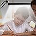 YOUKOYI A16S Metal Adjustable Swing Arm Desk Lamp with Clamp, Touch Control Table Lamp with Stepless Dimming, 3 Color Modes, Memory Function Eye-Caring Desk Light for Home/Office/Work/Study/Reading