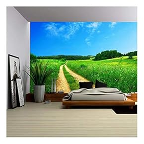 Countryside Roads Through Green Fields Under The Blue Sky - Removable Wall Mural | Self-Adhesive Large Wallpaper - 66x96 inches