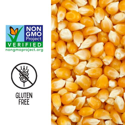 Quinn Family Farmed Gourmet Popcorn Kernels 28 oz (3 count) NonGMO Verified, Pesticide Free