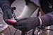 Agloves ® Polar Sport Touchscreen Gloves, (Black, X-Large)
