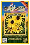 Everwilde Farms - 2000 Black-Eyed Susan Native
