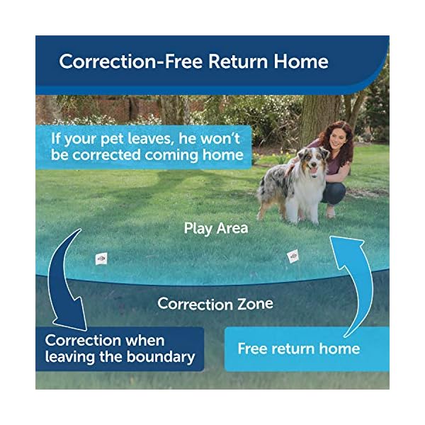 PetSafe Stay & Play Compact Wireless Fence for Dogs & Cats, Waterproof
