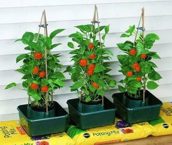 Garden Mile 3pc Tomato Plant Pots Grow Bags for Vegetables & Herbs