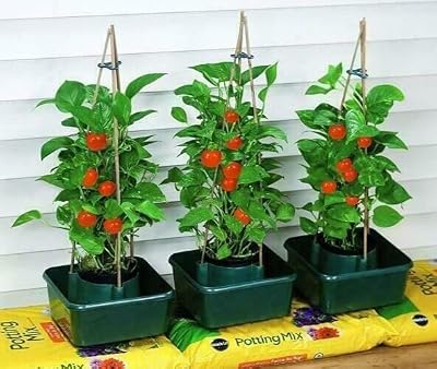 Garden Mile 3pc Tomato Plant Pots Grow Bags for Vegetables & Herbs