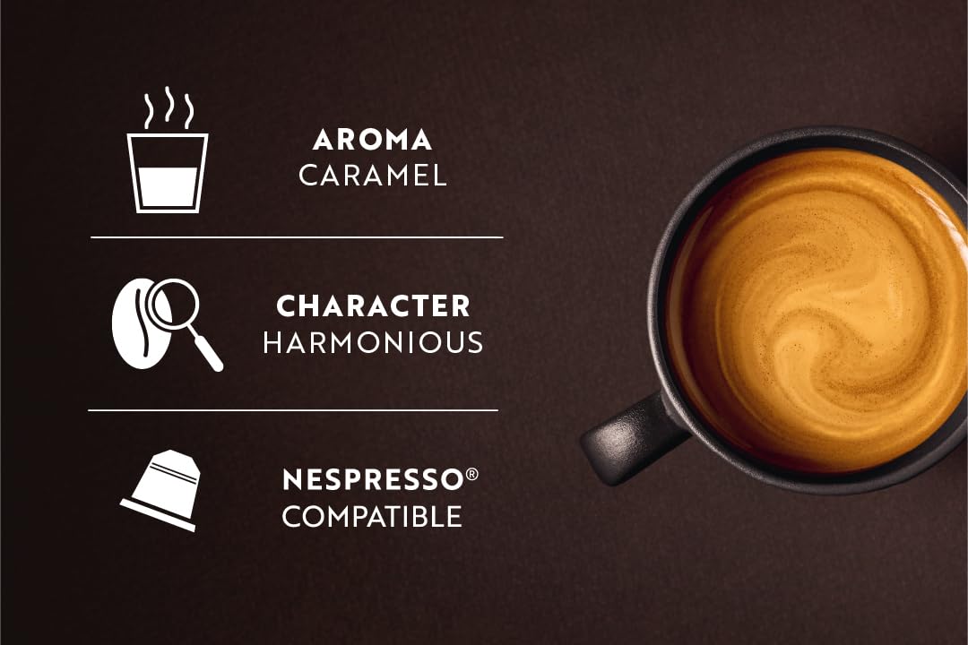 Café Royal Lungo – 100 Kapseln Nespresso®, Int. 5/12, Rainforest 5
