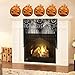 Outgeek Halloween Window Curtain, 2pc Lace Skull Curtain Bat Curtain Valance with Tassel 38