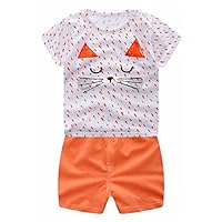 Hot Sale!! Toddler Infant Baby Boys Girls Cool Cartoon Funny Animals Cotton Tops Shirt+Pants 2Pcs Outfits Set (Orange, 18-24 Months)
