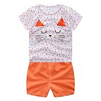 Hot Sale!! Toddler Infant Baby Boys Girls Cool Cartoon Funny Animals Cotton Tops Shirt+Pants 2Pcs Outfits Set (Orange, 18-24 Months)