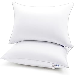 CozyLux Pillows Queen Size Set of 2, Hotel Quality