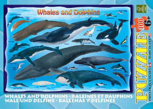 Whales & Dolphins 100 Piece Jigsaw Puzzle