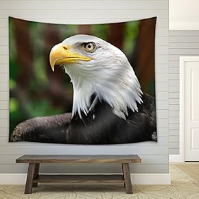 Bald Eagle | Bird in Wildlife - Fabric Wall Tapestry Home Decor - 51x60 inches