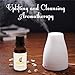 Lemon Essential Oil by AromaOils - Best 100% Pure Cold Pressed - Strong Citrus Scent in Aromatherapy Diffuser, as a Natural Household Cleaner and Disinfectant, and DIY Skin Care Recipes - 1 oz (30 ml)