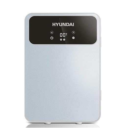 MY1MEY Refrigerador Bolsas y Cajas Mini refrigerador portátil ...