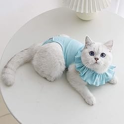 Cat Recovery Suit for Abdominal Wounds and Skin