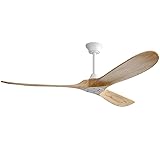 Sofucor 60 Inch Ceiling Fans No Light-Outdoor