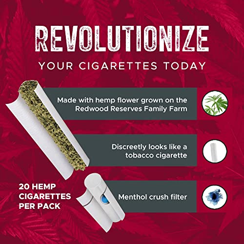 meaning behind cigarette daydreams Cage The Elephant – Cigarette Daydreams (Unpeeled) Lyrics meaning behind cigarette daydreams Cage The Elephant – Cigarette Daydreams (Unpeeled) Lyrics