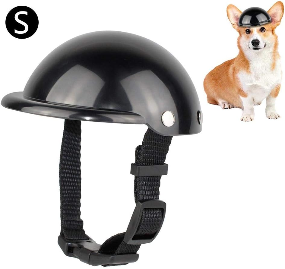 10 Mejores Cascos De Moto Para Perros Pequeños Noviembre 2020