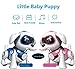 Yeezee Wirless Robot Puppy, Interactive Little Baby Pup with Magent Bone, Walking Talking Remote Control Dog, Robot Pet for Kids/Boys/Girls (BB-1)thumb 2