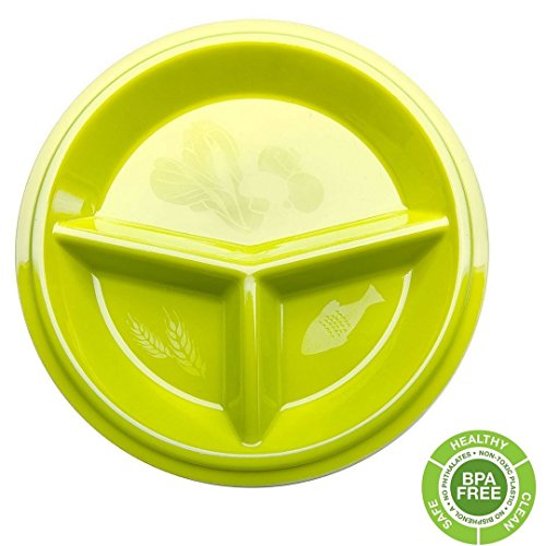 Precise Portions Go Healthy Portion Control Plate BPAFree,Dishwasher