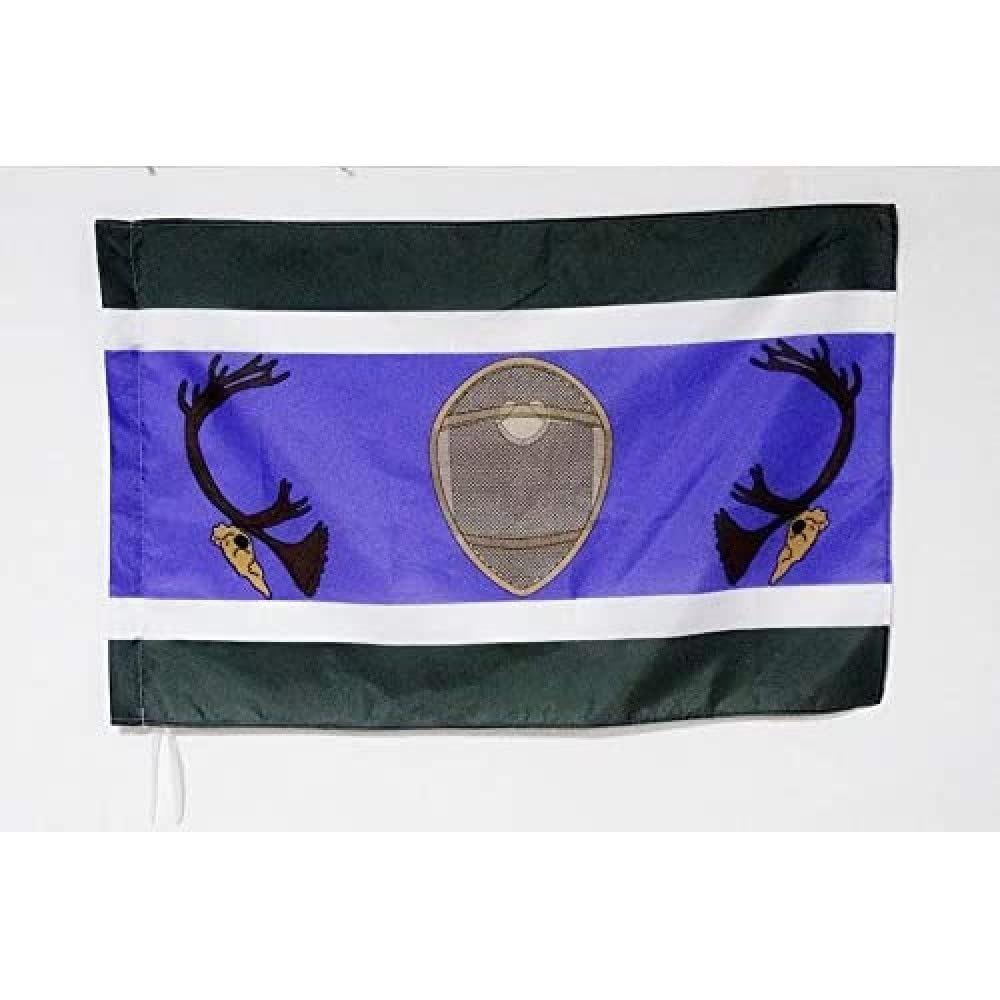 AZ FLAG - Innu Tribe Flag - 2x3 Ft - Innu-Montagnais Nation Banner with Sleeve - 100% Polyester - Fade Resistant - Vivid Colors - 2' x 3' Feet - 90x60 Cm