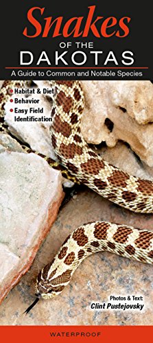 Snakes of the Dakotas: A Guide to Common and Notable Species