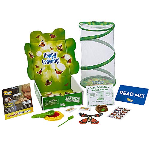 Insect Lore Butterfly Garden Gift Set with Prepaid Voucher