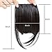 Liyate New Fashion Straight Hair Bangs Fringe Clip in Hair Extensions 1 piece (2 clips) Synthetic Hair (clip bangs, Jet Black)
