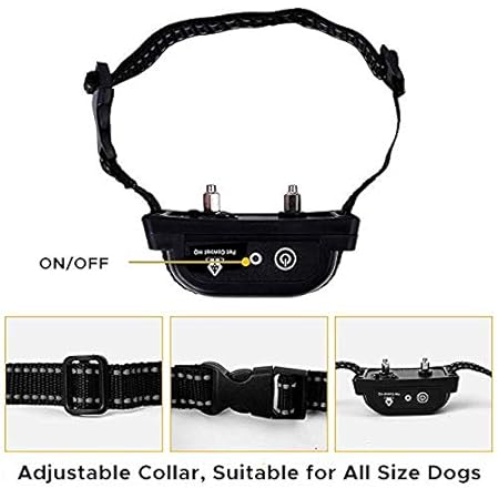 indoor shock collar