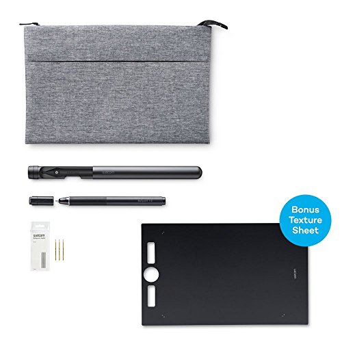 Wacom Accessory Bundle Kit for Intuos Pro Paper Edition (PTH860P): with Tablet carrying case, Pro Pen 2 case, Wacom Ballpoint Pen and BONUS Smooth Texture Sheet