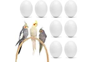 WOLEDOE 8Pcs Fake Bird Eggs, Stop Egg Laying fit Cockatiels, Green Cheeks, Lovebird, Ringneck Dove, Lorikeet, Bourke Parakeet, Quaker Parrots