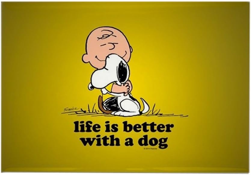 The 10 Best Snoopy Magnets For Refrigerator